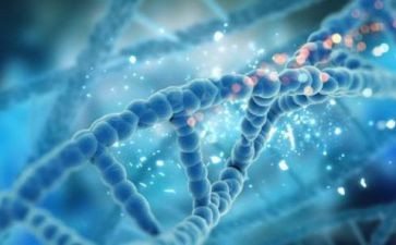 理化生组教研工作计划8篇