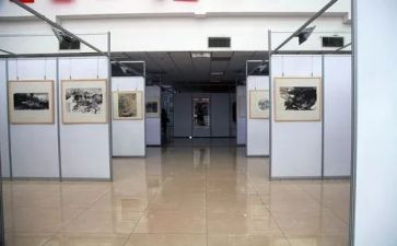 书画展开幕式讲话稿6篇