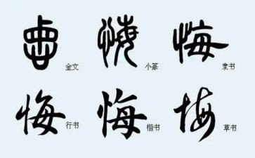 我无悔的青春作文优质8篇