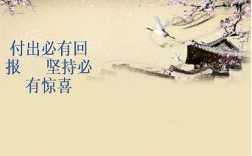 回报父母作文精选5篇
