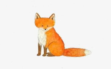 狐狸与猫读后感5篇