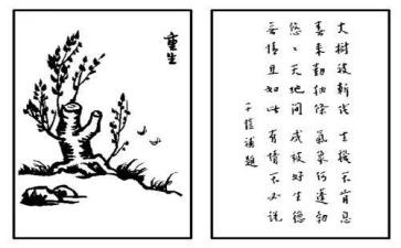 保护生态环境的作文6篇