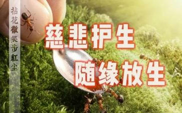 保护生态环境类作文6篇
