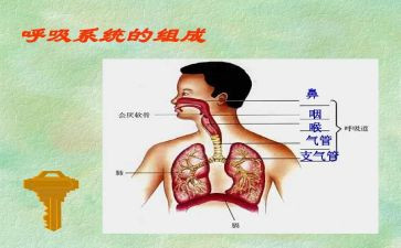 呼吸科医生工作总结范文7篇