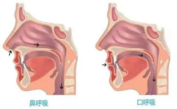 呼吸内科进修自我鉴定8篇