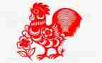 鸡采购合同8篇