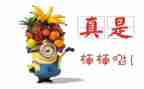 部队个人嘉奖事迹5篇