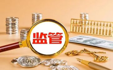 监管年度总结8篇