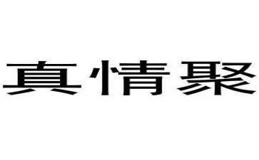 与真情的作文最新7篇