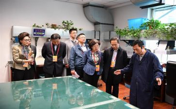 监委会述职报告优质6篇