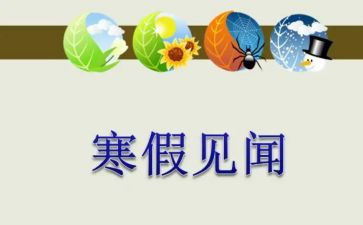 五一见闻作文500字6篇