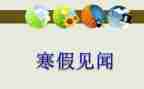 五一见闻作文500字6篇
