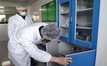 检验述职报告6篇