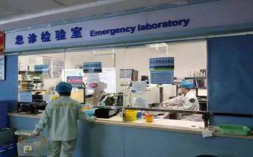 检验室年度工作总结6篇
