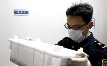 2024年植物检疫工作总结5篇