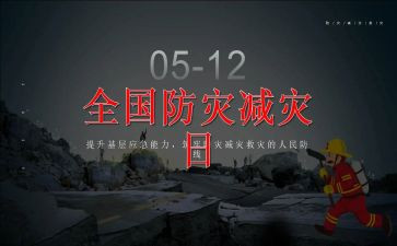 村防灾减灾宣传活动总结优质6篇