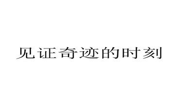 见证作文800字5篇