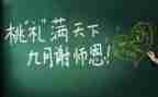 2024教师年度总结个人总结最新5篇