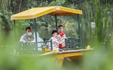 大班《郊游》教案反思6篇