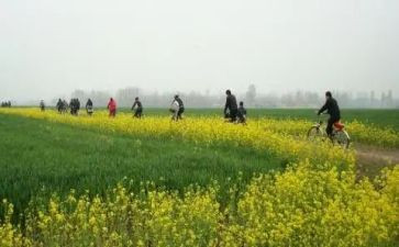 幼儿园大班去郊游教案5篇