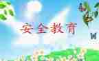 幼儿教育安全工作总结模板6篇