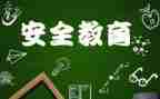 幼儿教育安全工作总结7篇