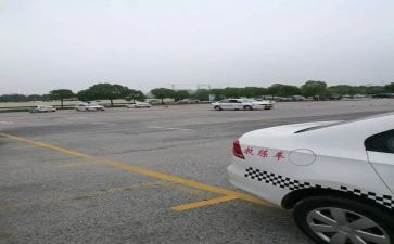 2024年驾校年度工作总结8篇