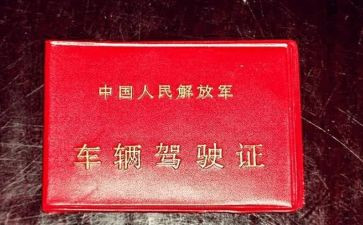 拿驾照心得推荐5篇