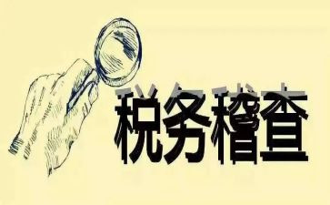2024稽查工作总结8篇