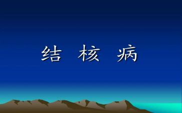 2023学校结核工作计划8篇