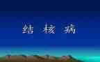 2023学校结核工作计划8篇