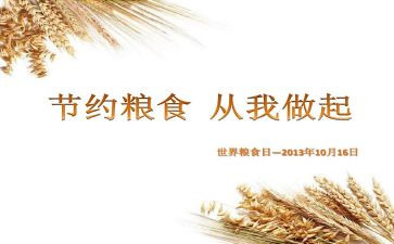 爱粮节粮活动策划7篇