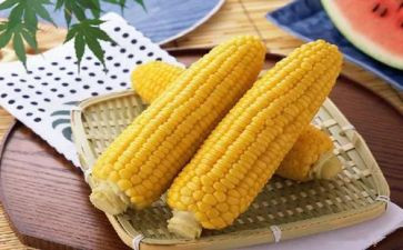 收玉米合同参考8篇