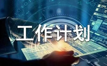 计划员个人工作总结和计划6篇
