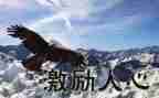 激励高中生奋斗的演讲稿6篇