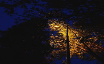 有关于静的作文7篇