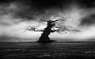 安静的作文优秀7篇