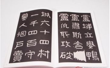 小学教师晋高级述职报告8篇