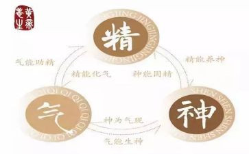提振精气神心得8篇