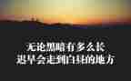 服务精神的心得体会5篇