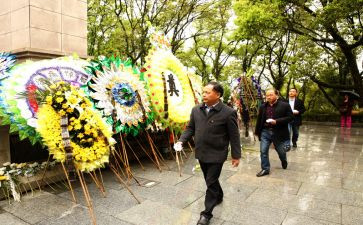 清明节祭扫活动方案参考7篇