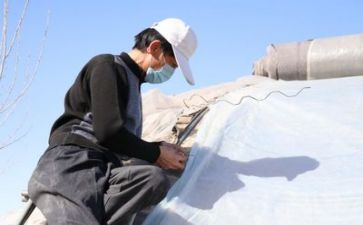 技术工作总结及技术报告优质7篇