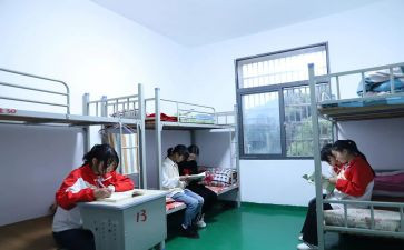 寄宿的申请书5篇