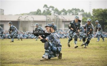 军训活动心得体会通用7篇