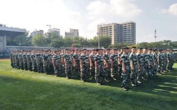 军训感悟作文500字5篇