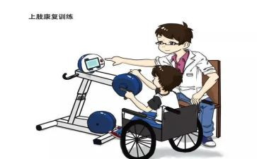 2023年康复师个人工作总结8篇