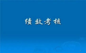 员工试用期考核表个人总结6篇