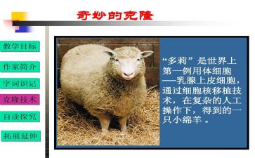 假如我会克隆作文7篇