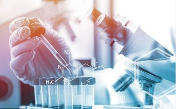 米的科学教案参考6篇