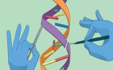 科学活动教案模板优秀7篇